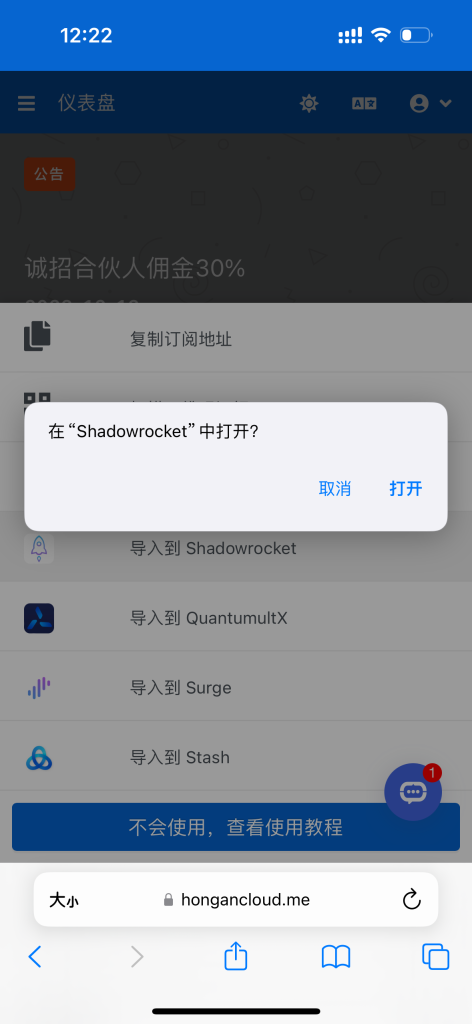 红岸云使用小火箭 Shadowrocket 快速导入订阅的 3 种方式