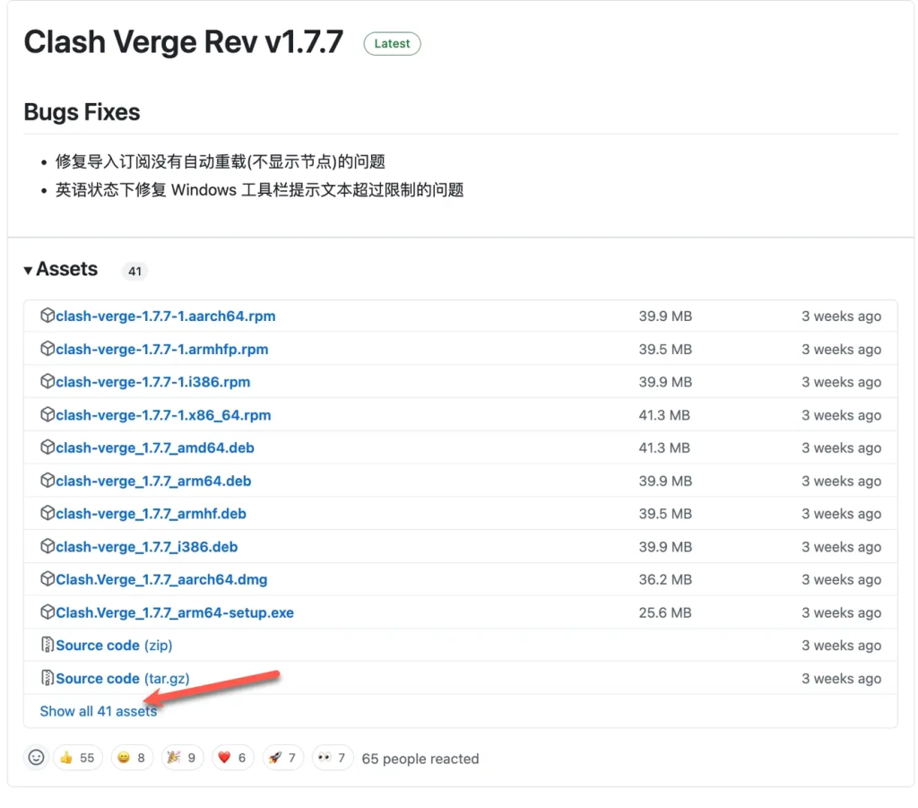 2024 新版苹果 Mac 电脑 Clash Verge Rev 下载和使用教程